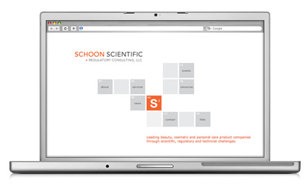 Schoon Scientific consulting services