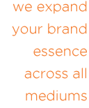 website designs expand your brand essence across all mediums